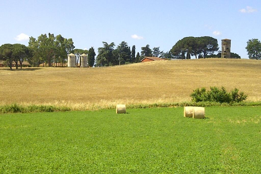 Country house between Rome and the beautiful Bracciano lake. Shared pool and garden
