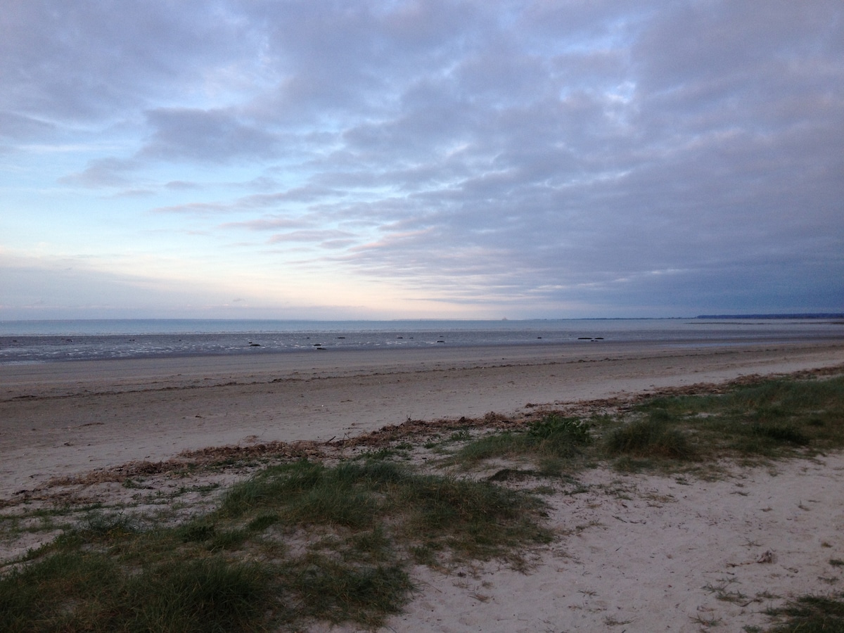 A wide beach scene is captured, showcasing soft sand and gentle waves lapping at the shore. The horizon is met with a muted sky, blending shades of blue and gray. Sparse green grass and tufts of foliage are visible in the foreground.