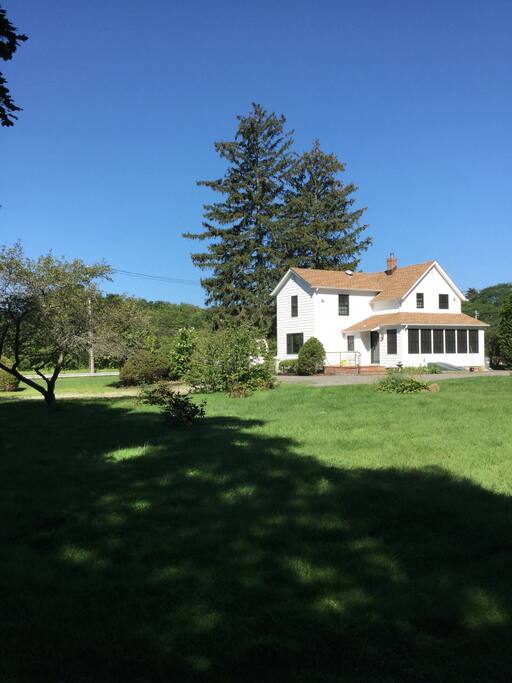 The backyard