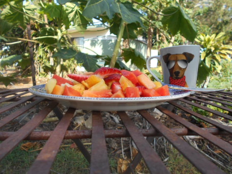 Fresh tropical fruit salad includes organic red papaya, grown in the backyard. Coffee is freshly ground, spiced Colombian espresso.