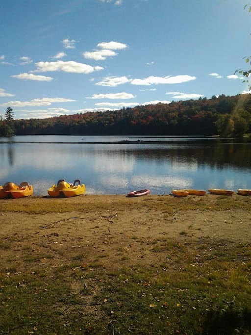 Lots of water craft to use