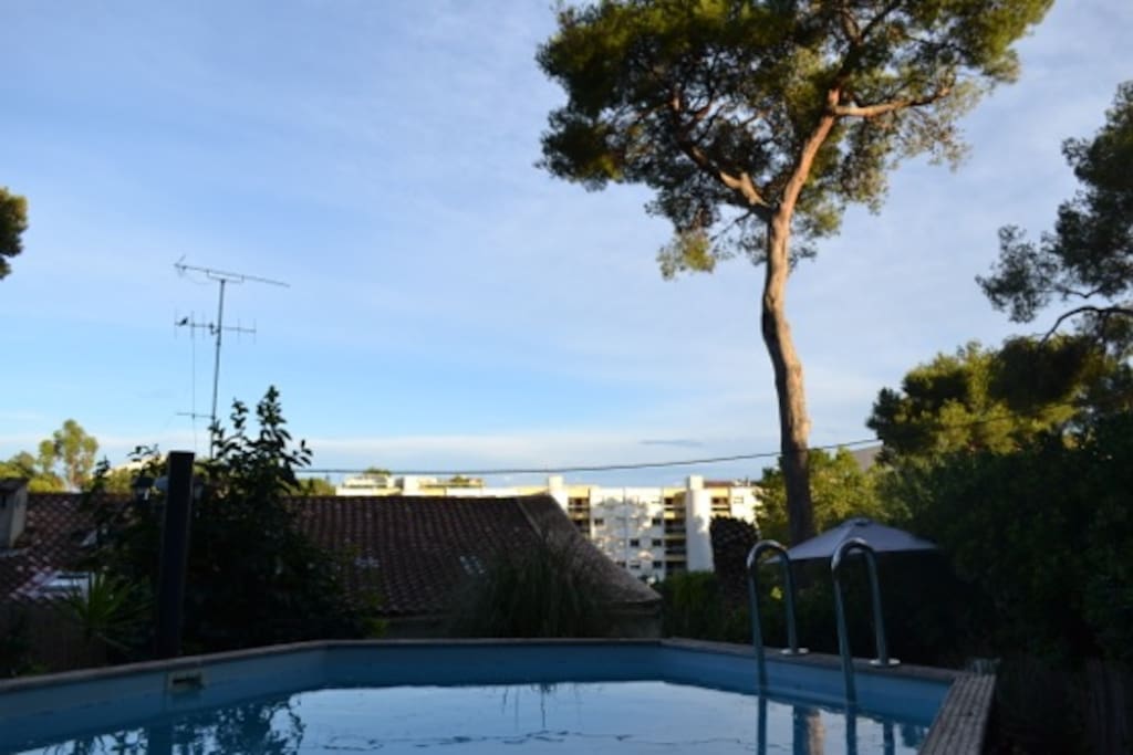 La petit piscine hors sol derrier la maison