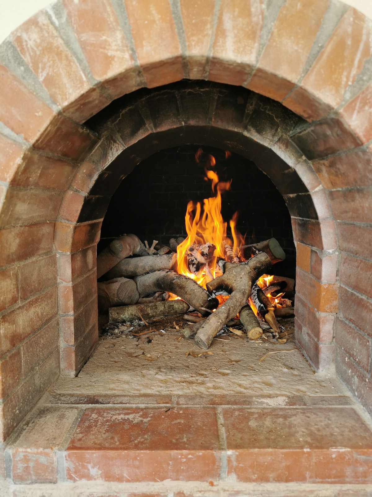 A rustic brick fireplace is featured, with a warm fire burning inside. Logs and kindling are arranged in the hearth, creating an inviting focal point. The textured bricks provide a contrast to the flames, enhancing the cozy atmosphere.