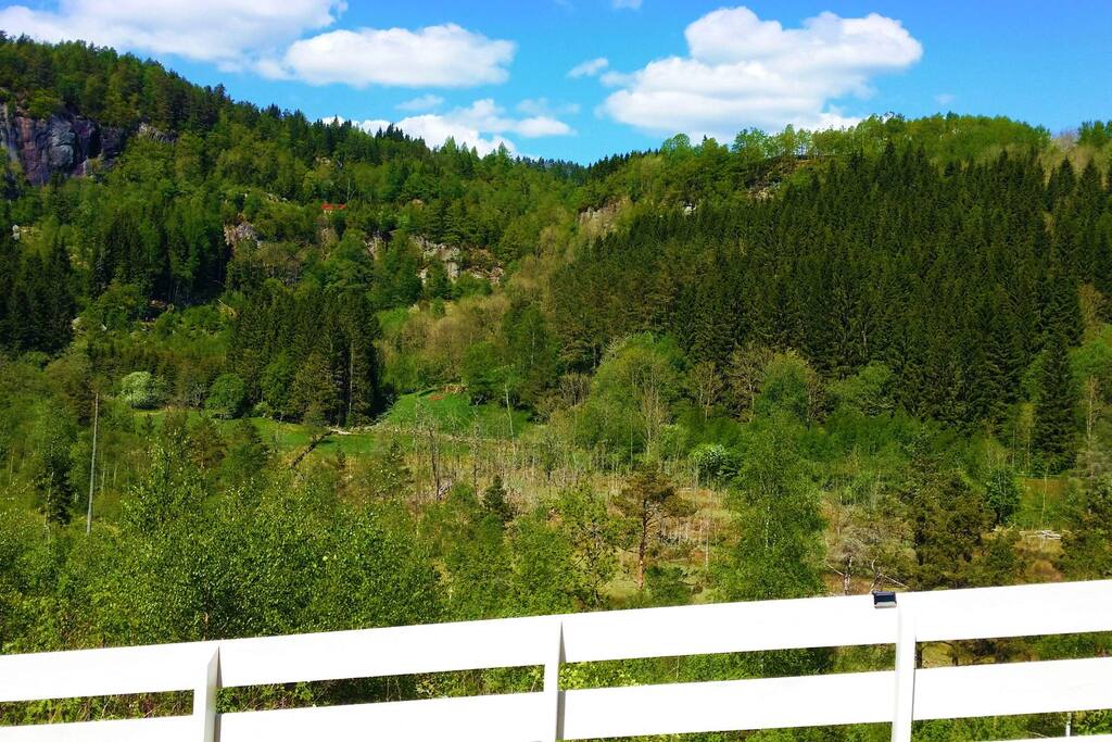 view from apartment