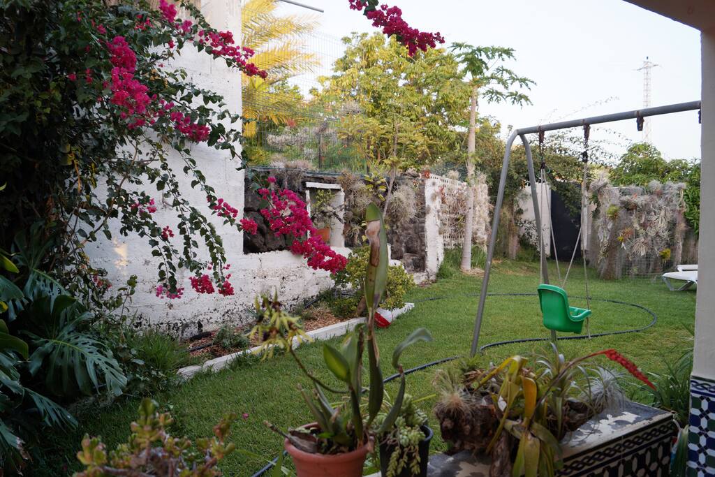 The garden with a children swing.