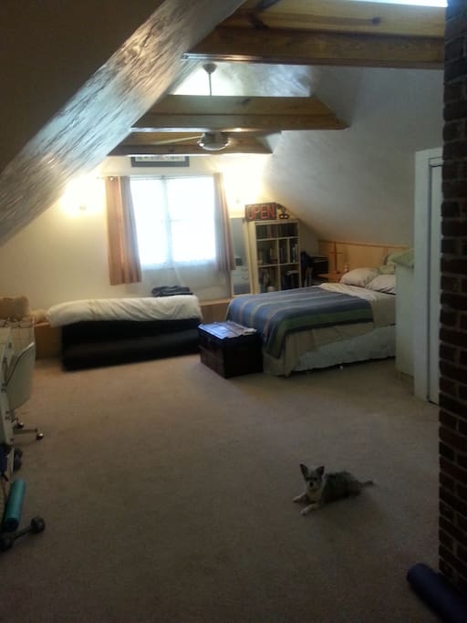 Dog not included and he is never upstairs in this space. I brought him upstairs for the photo shoot.