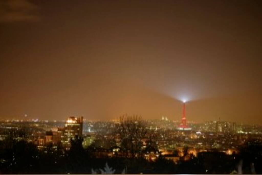 vue panoramique depuis la terrasse sur Paris