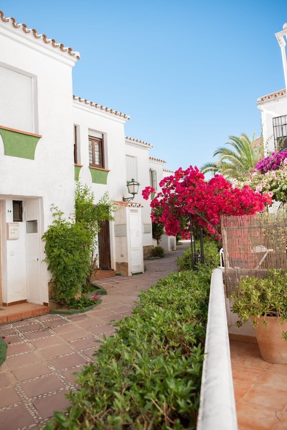 A charming walkway is framed by vibrant flowers and greenery, leading to whitewashed buildings. The vivid colors of bougainvillea contrast against the clear blue sky, while the pathway is lined with lush shrubs, creating a serene environment in the community.