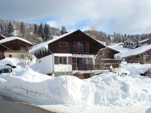 Comfy family ski chalet in the Alps