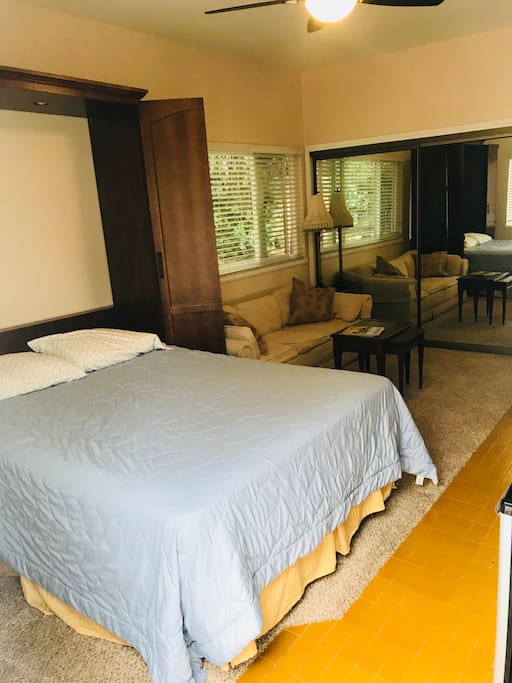 Queen size murphy bed, queen size sofa bed and large closet with private new bathroom