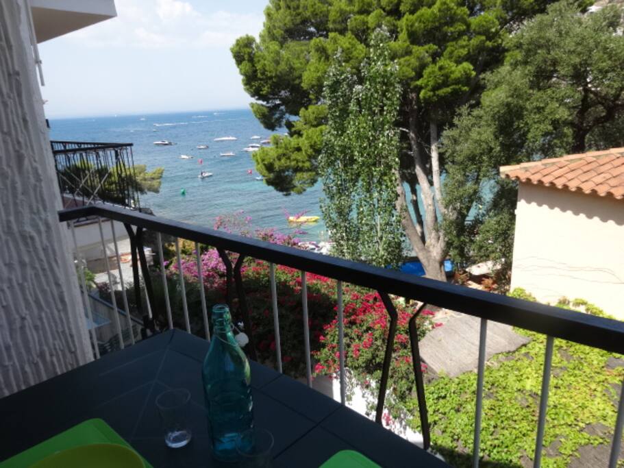 Vue depuis la terrasse