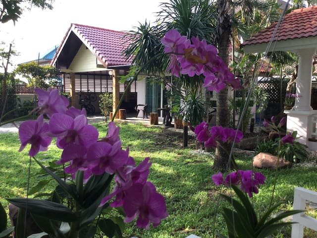 Serene Home-private corner