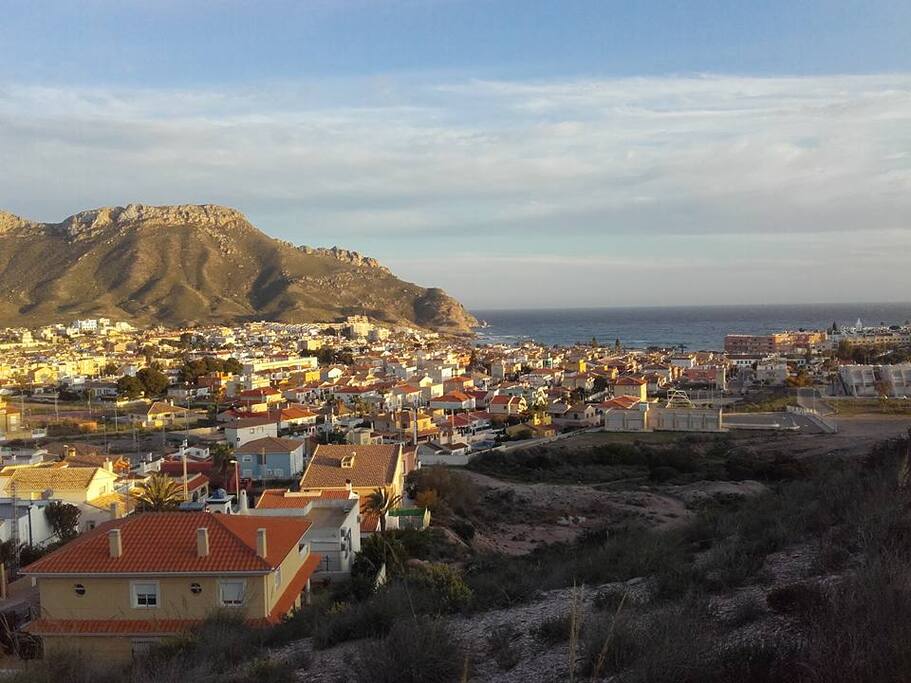 Calabardina
