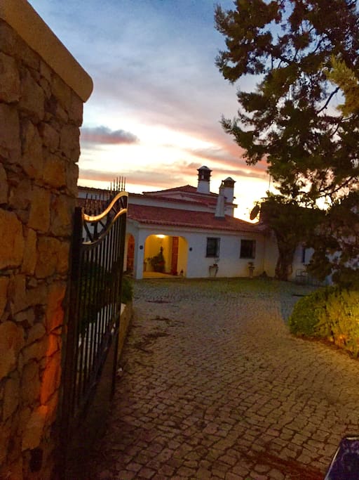 welcome to Quinta Avalon...