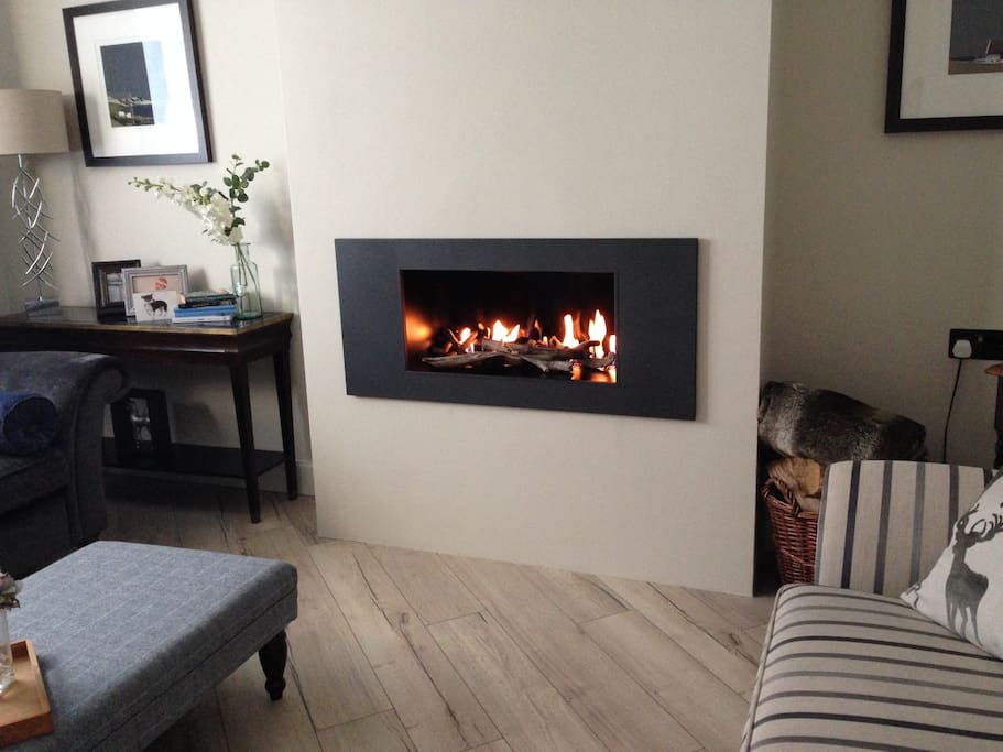 T.V. Lounge with open gas fire.