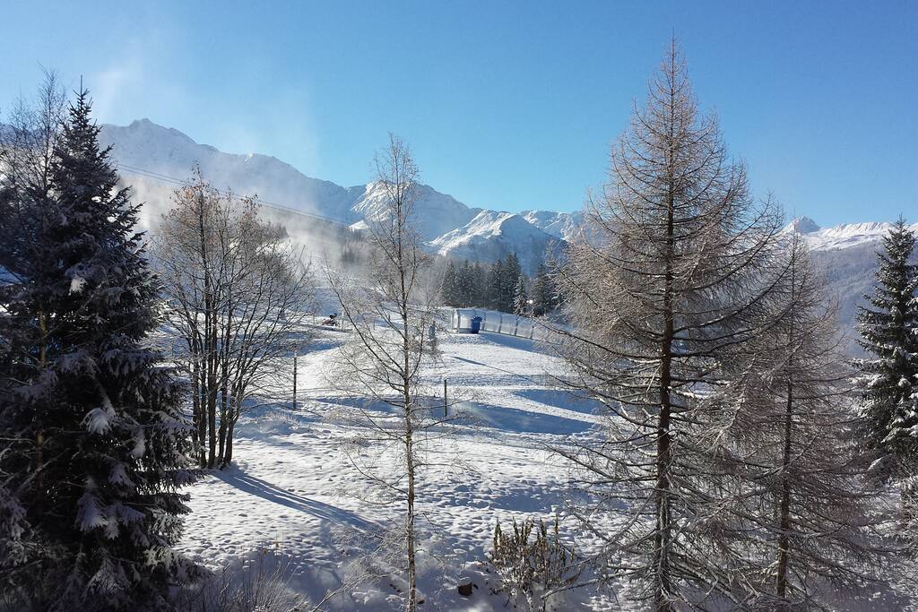 view from the livingroom