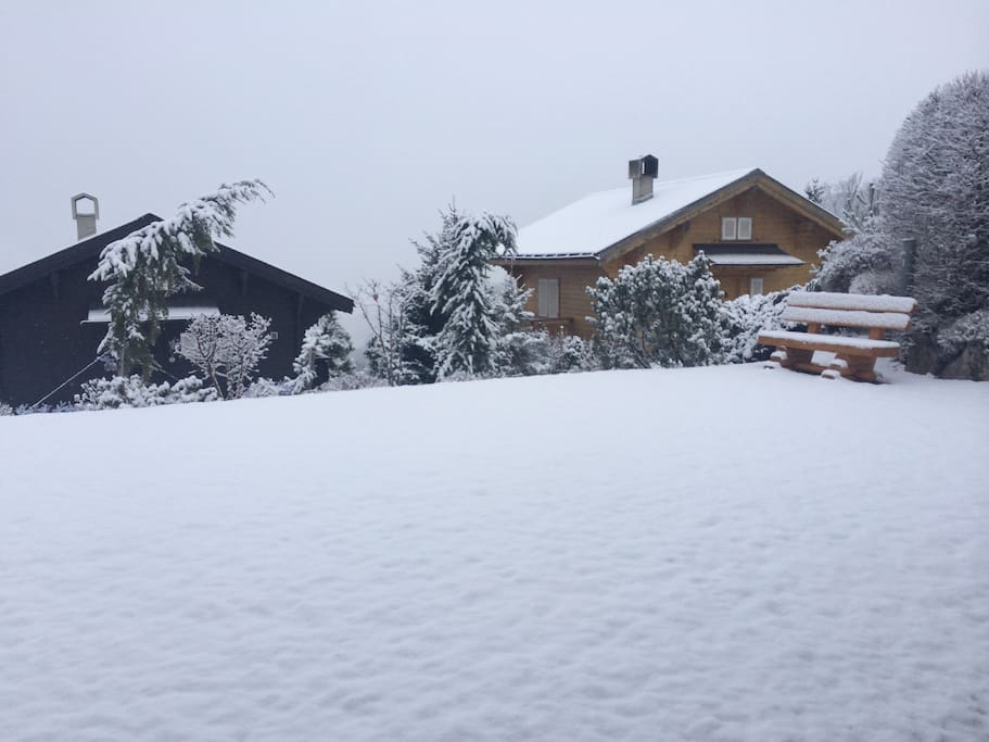 500m2 garden