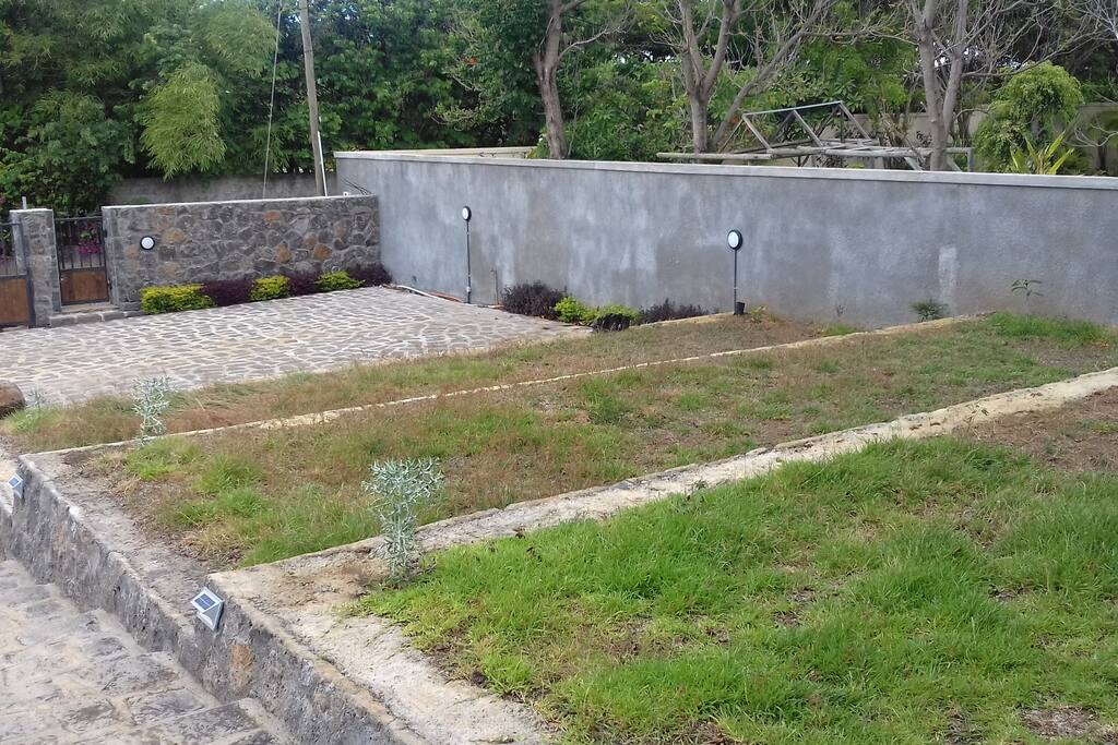Yard in front