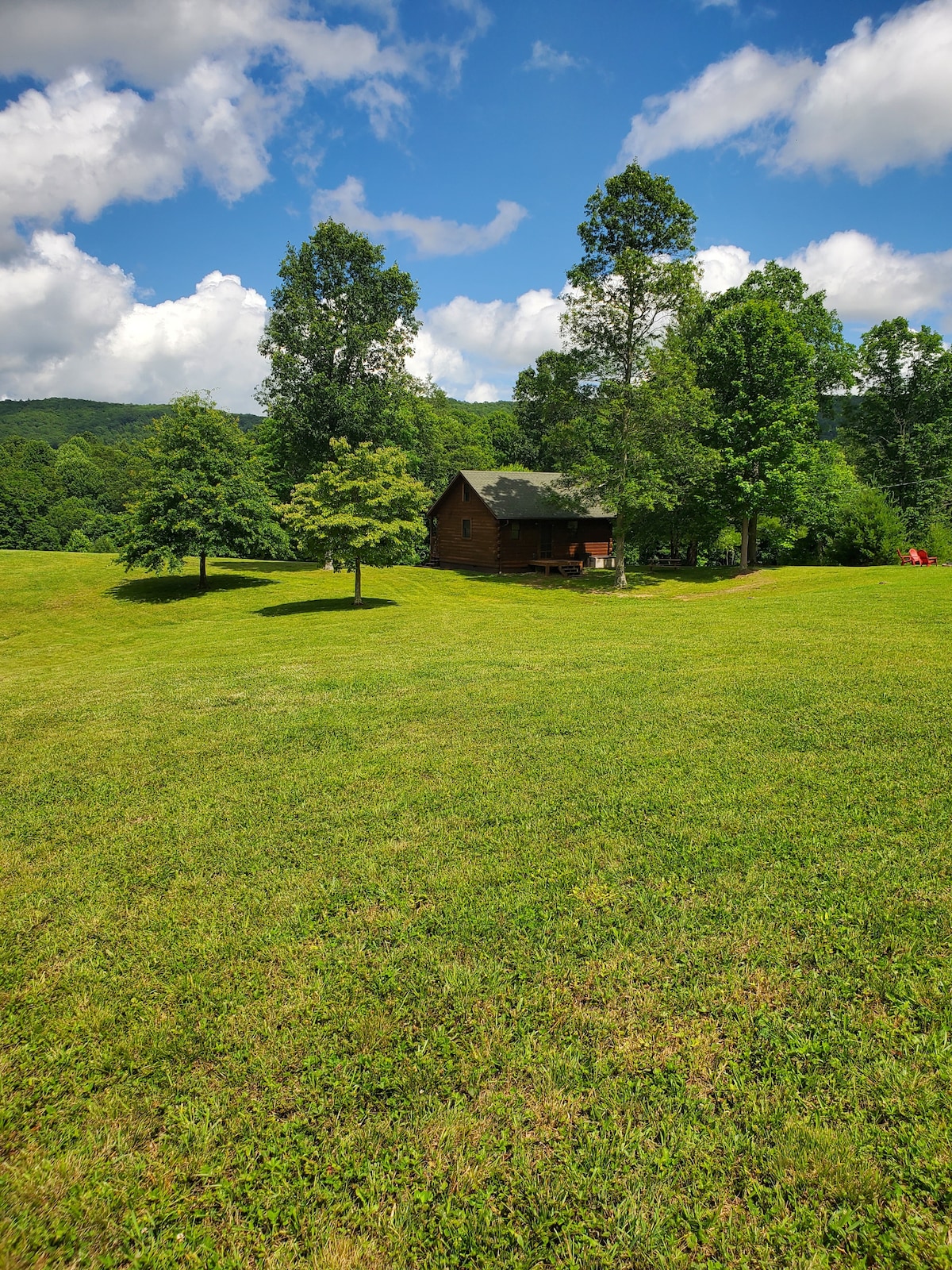 A rustic log cabin is nestled among lush greenery, surrounded by tall trees. The structure is framed by a vast, open lawn, with distant mountains visible under a bright blue sky dotted with white clouds.