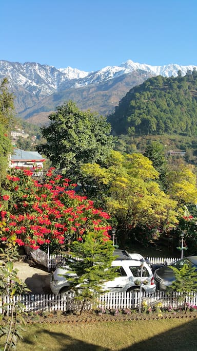 View from the rooms