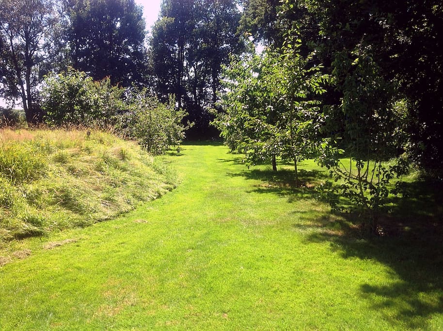 Tuin / Garden