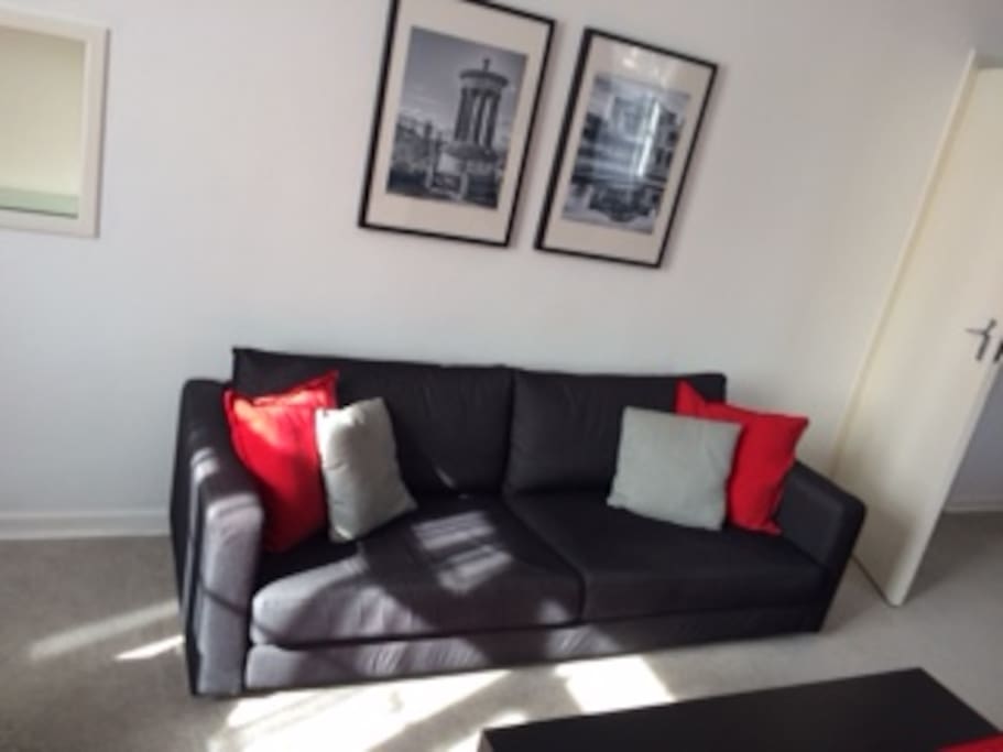 One of the two comfortable sofas