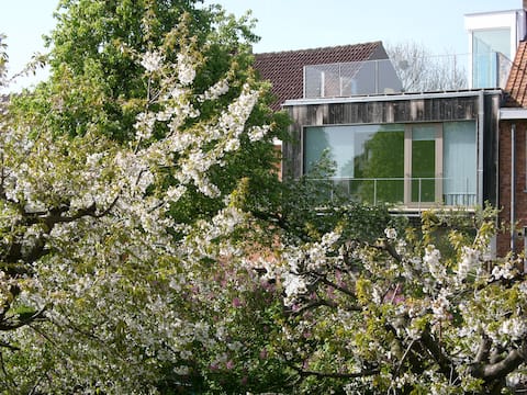 Top Airbnb: Contemporary house, green & arty in Bruxelles Capitale