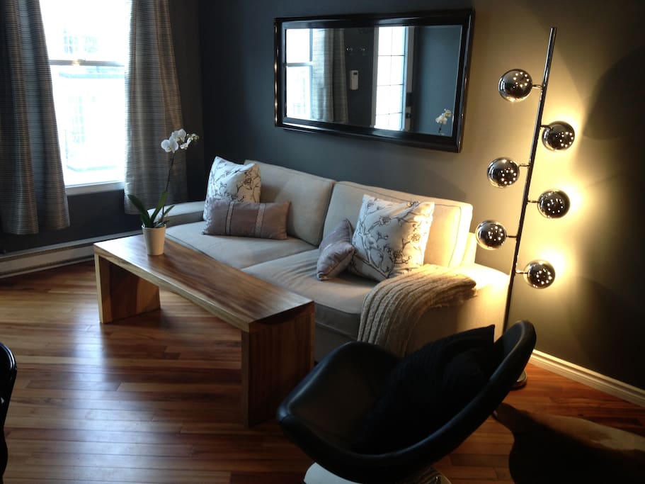 Welcome to the living room where you can kick back or pull out the new queen sofa bed to sleep the night (or day!) away!