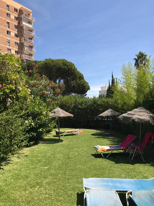 Swimming Pool Garden