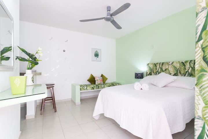 airbnb near playa del carmen quintana roo