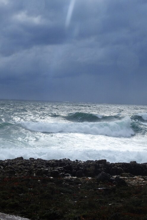 Show full-screen, host-provided image