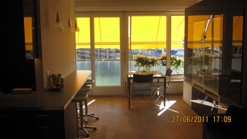 Airbnb Champel Vacation Rentals Places To Stay