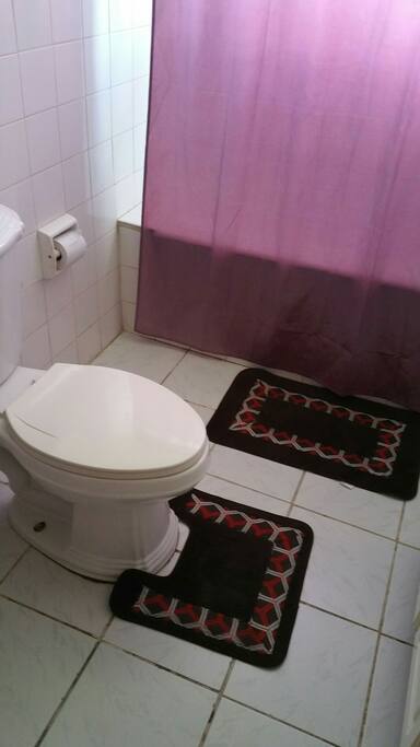 the guest bathroom