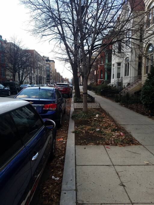Sidewalk in front of house