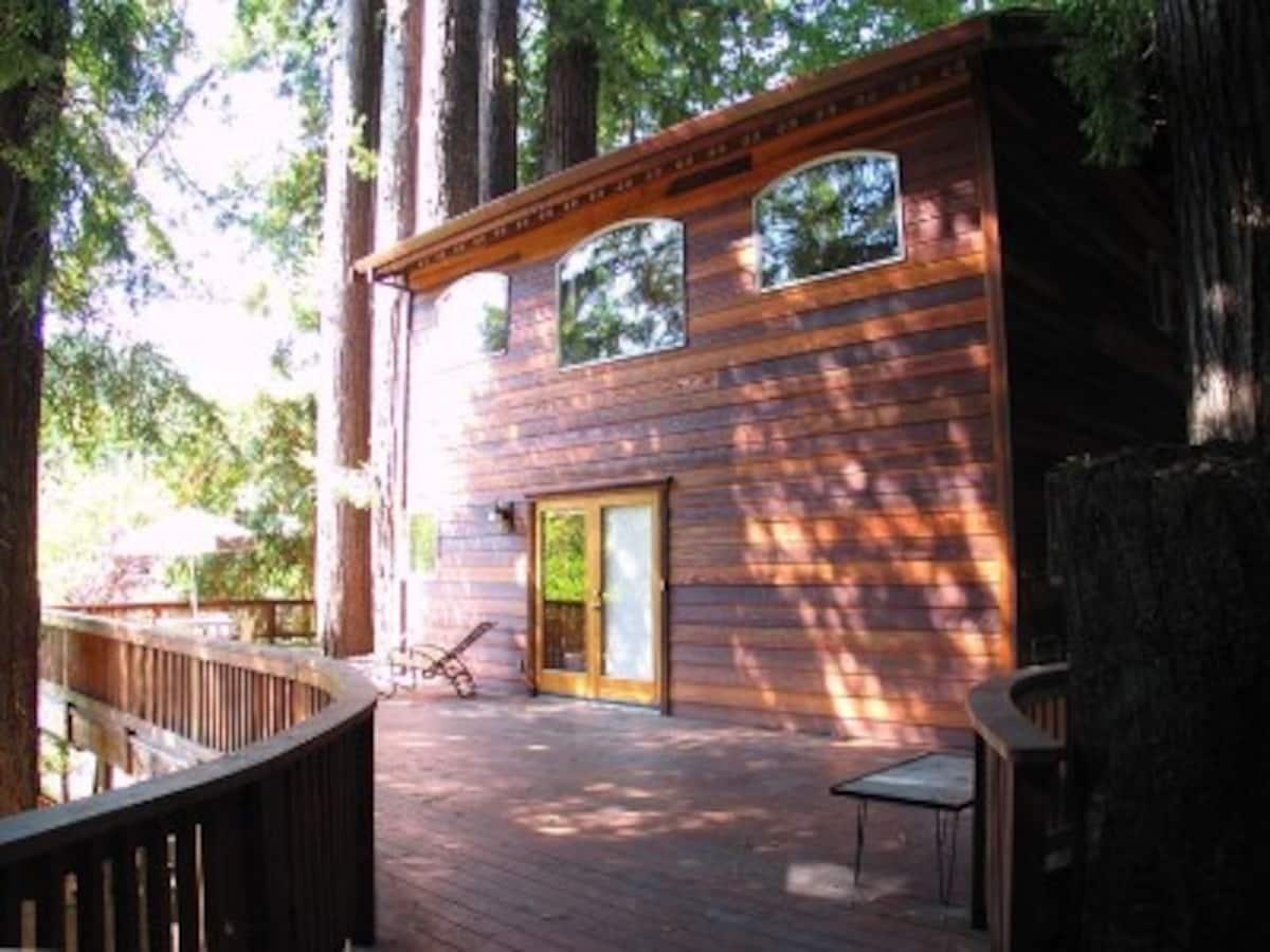 San Francisco Bay Area Treehouse Vacation Rentals | Airbnb