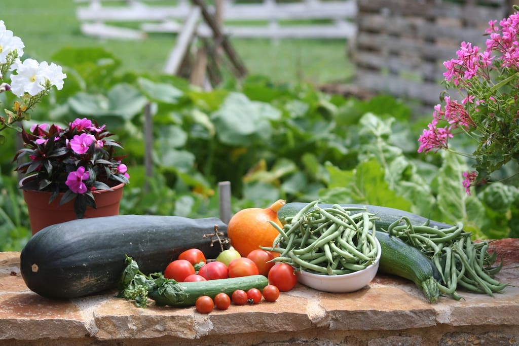 Groente uit eigen tuin