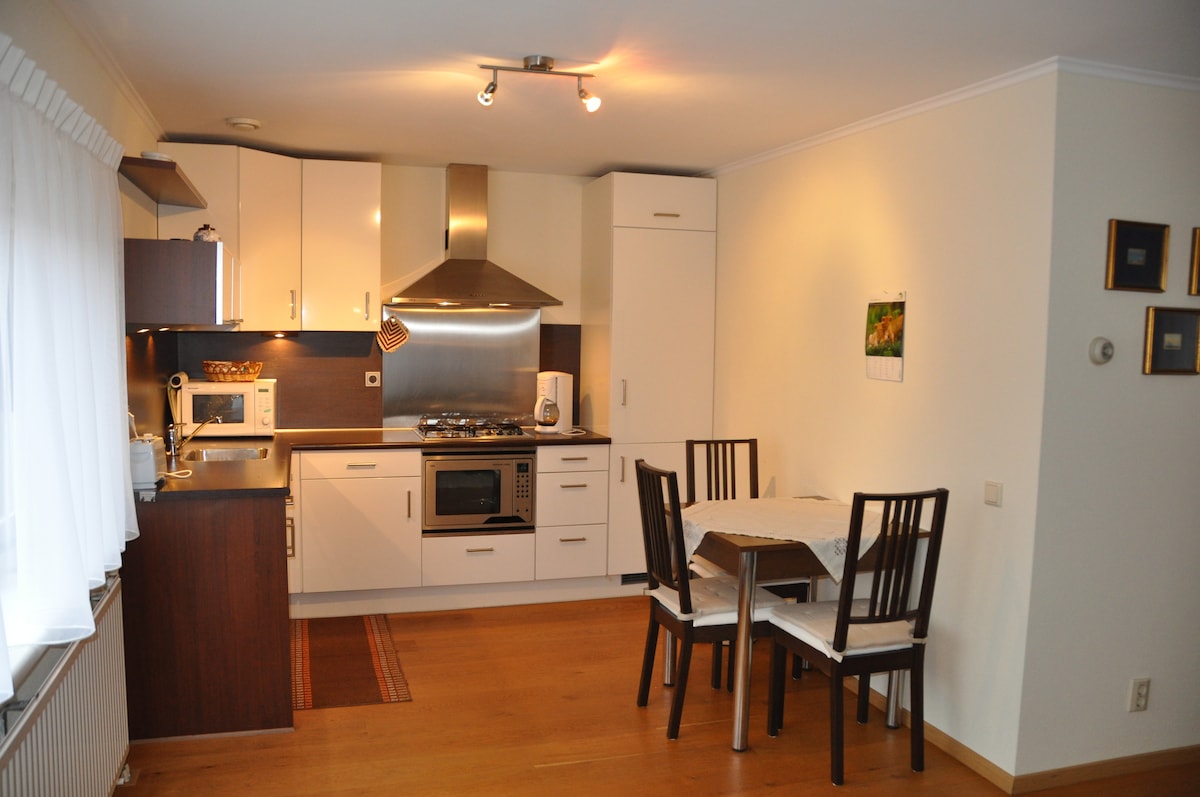 The modern kitchen features sleek cabinets and stainless steel appliances, including a gas stove and microwave. A dining table with four chairs occupies one corner, positioned beneath a light fixture. Natural light enters through a window, complemented by a white curtain.