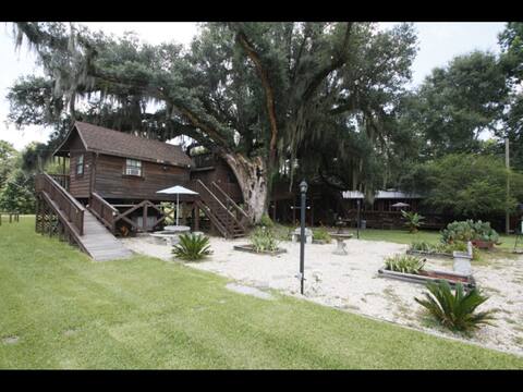 Multi level Swiss family Robinson Treehouse