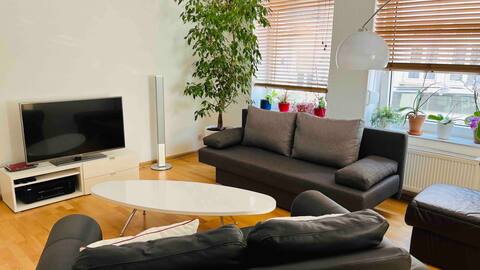 Spacious City Apartment