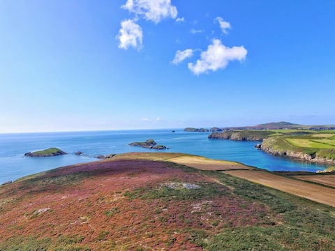 Top performing Airbnb: Lili Bach Shepherd's Hut in St. David's And The Cathedral Close