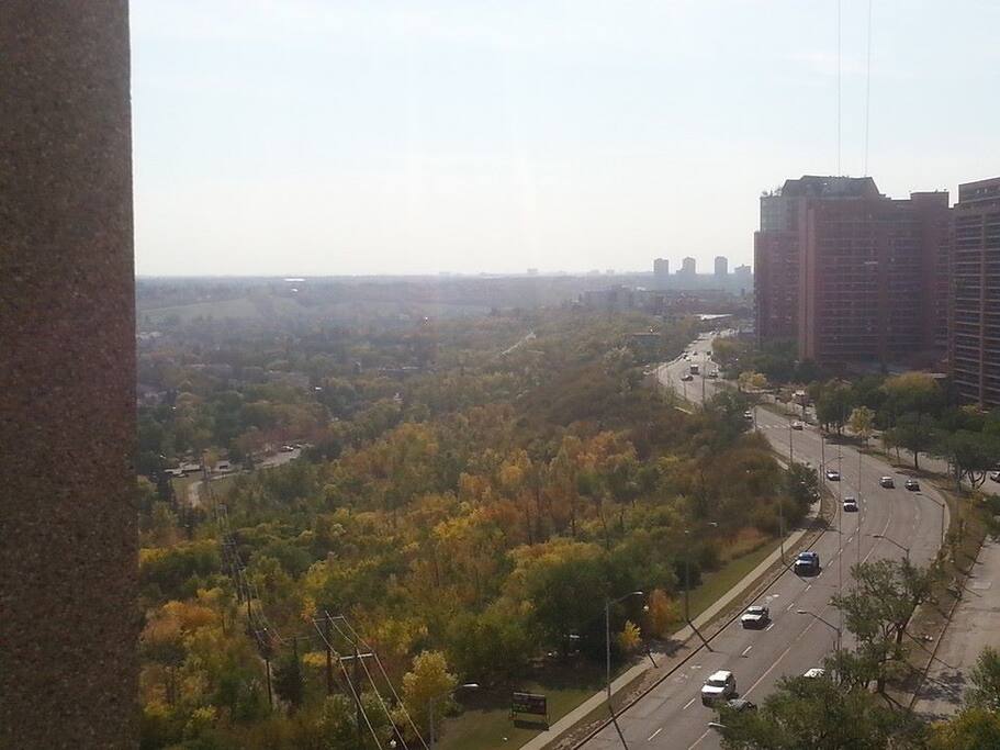 View