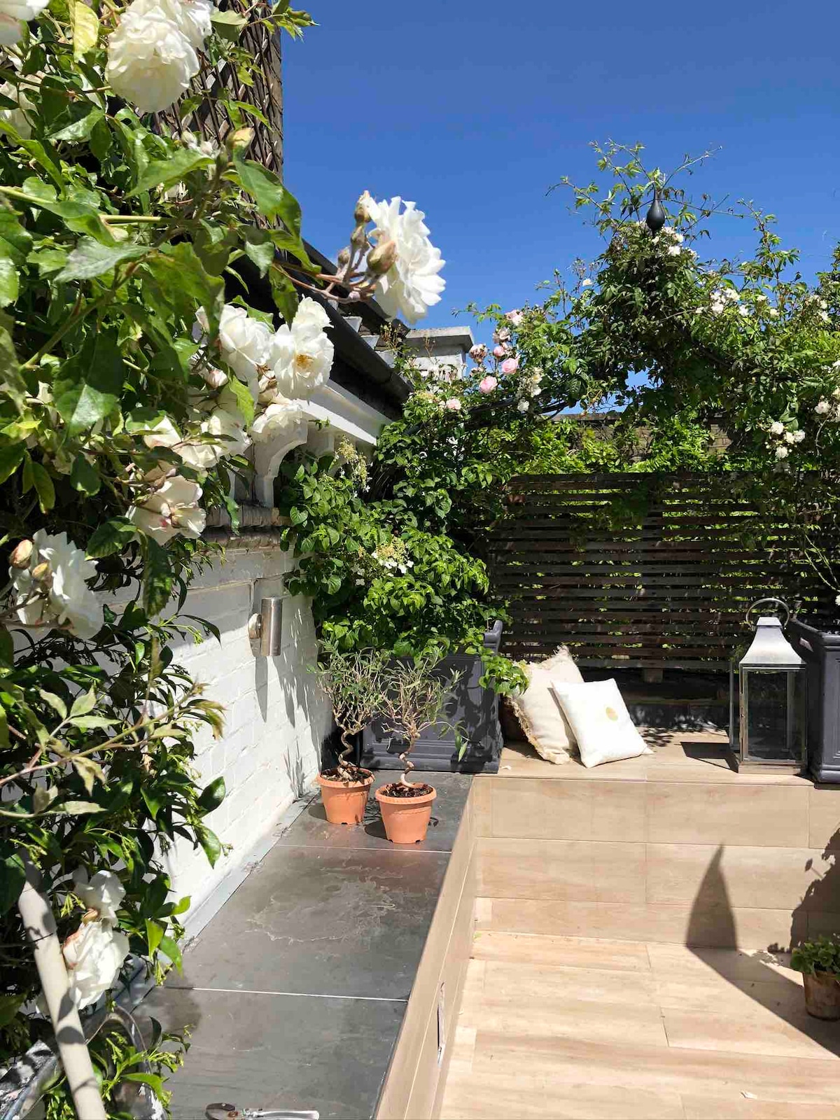 A serene outdoor roof terrace is framed by climbing roses and lush greenery. Potted plants are arranged along a tiled area, where a single decorative pillow rests against the wall. A lantern adds a subtle touch of ambiance under the clear blue sky.