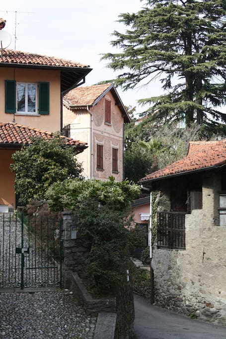 The neighbouring houses