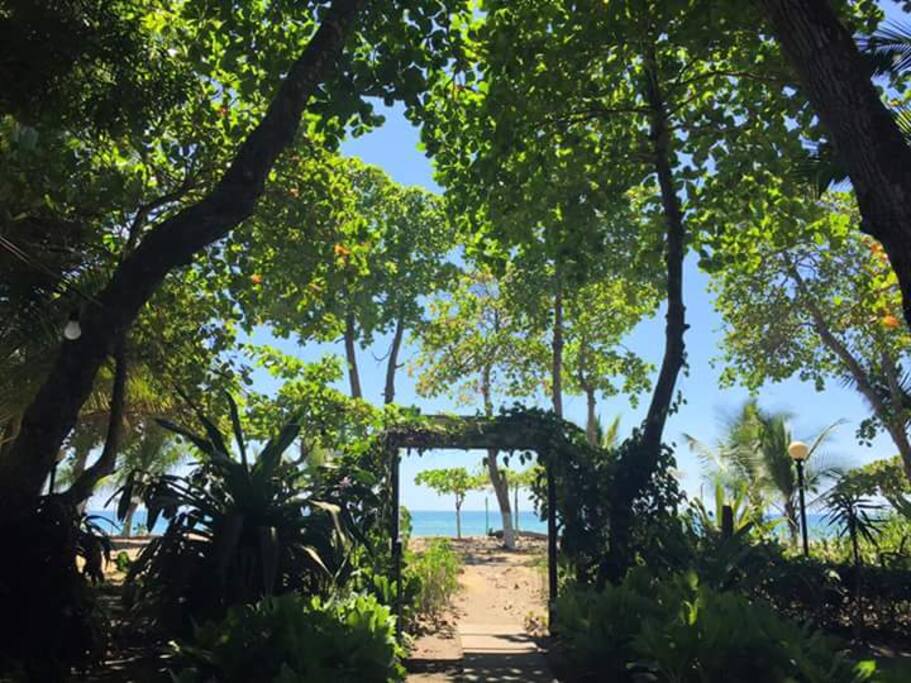 Our front yard