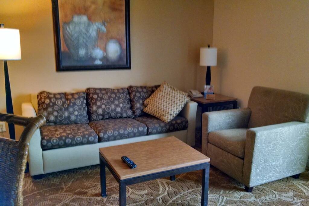 Living Room-with flat screen T.V. and DVD player