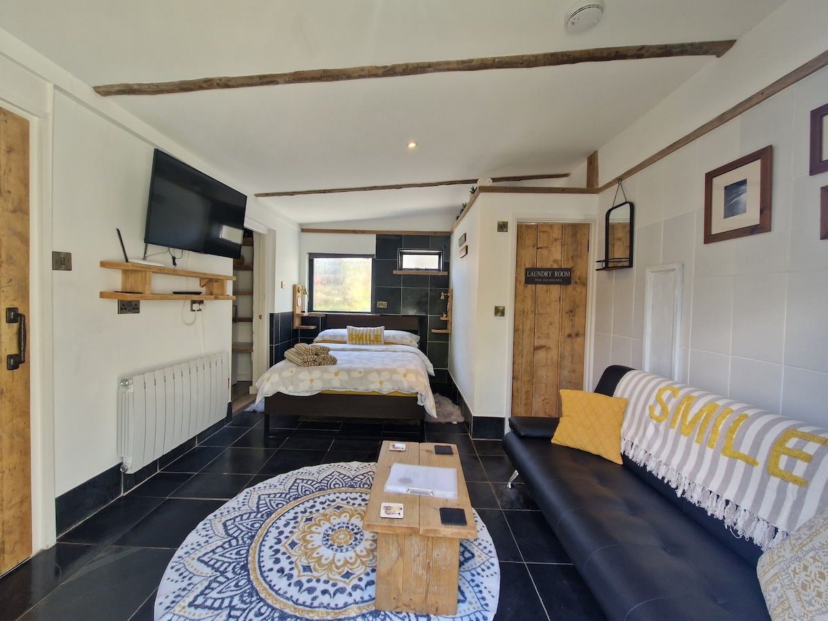 A modern bedroom area showcases a comfortable bed with crisp linens, a stylish sofa bed, and a wooden coffee table. A wall-mounted TV is positioned nearby. Natural light enters through the window, and decorative elements include a patterned rug and framed wall art.