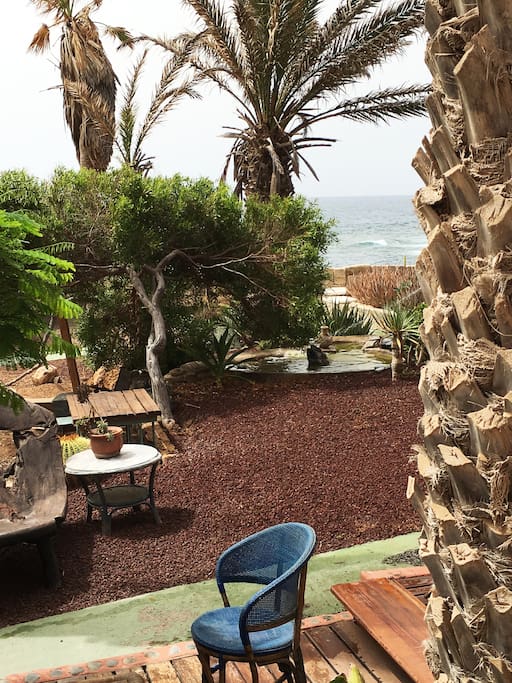 Garden & Chill Out Area