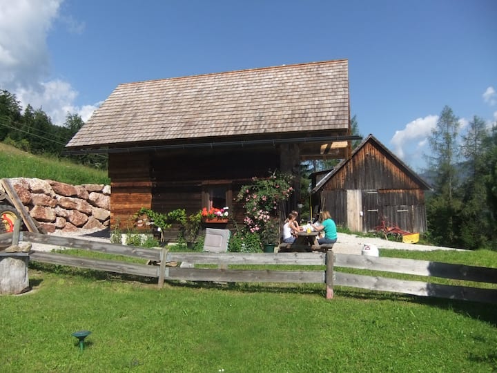 Chalet Ascherhütte in Upper Austria