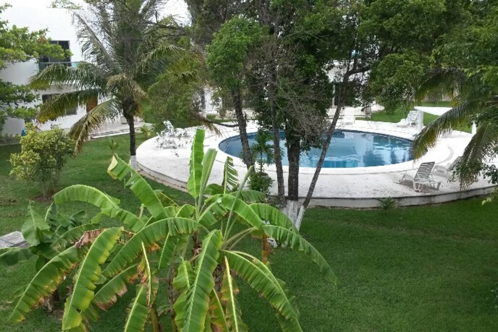 View from the apartment upstairs
