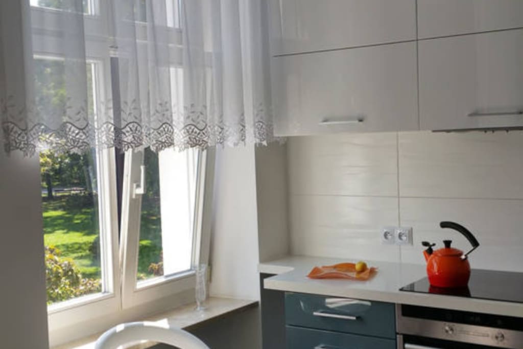 Modern fully equipped kitchen with park view